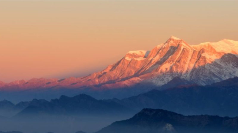 康龙化成并购佰翱得：CRO行业整合的战略深意